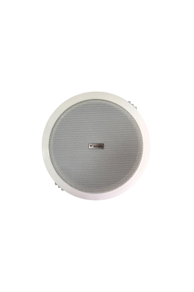 Westa WS-1016T - 16CM TRAFOLU ALÇIPAN HOPARLÖR