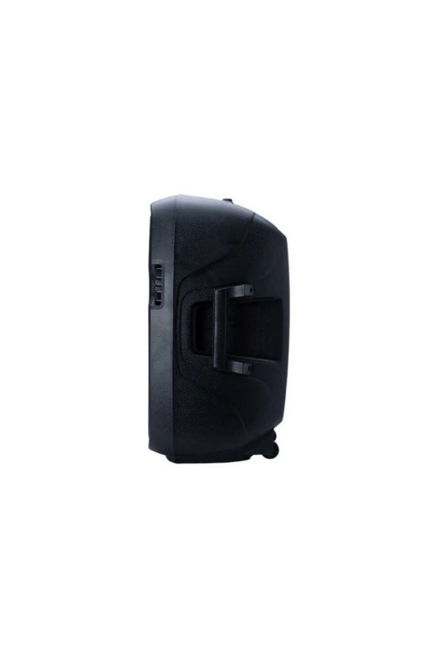 Westa WSS-1015 - 15” Pasif Kabin Hoparlör